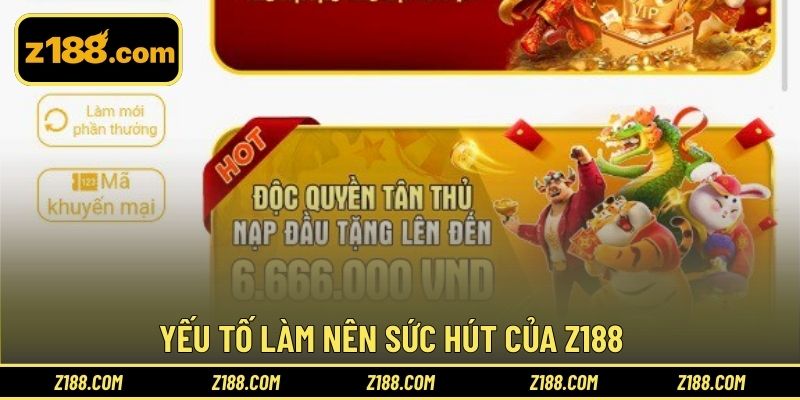 Yếu tố làm nên sức hút của Z188